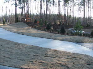 Commercial sod Raleigh NC