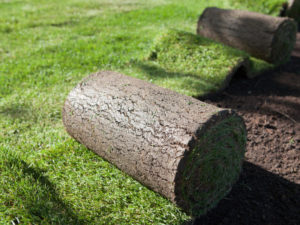 Residential Sod Installation