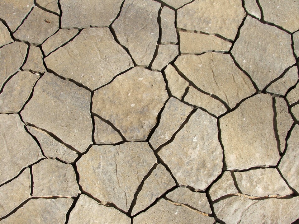 Outdoor Living & Hardscapes