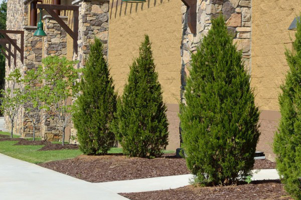 Commercial Landscaping Raleigh NC