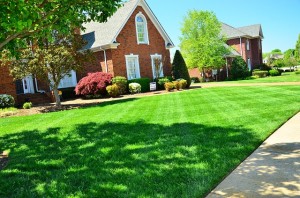 Other Lawn Care Services