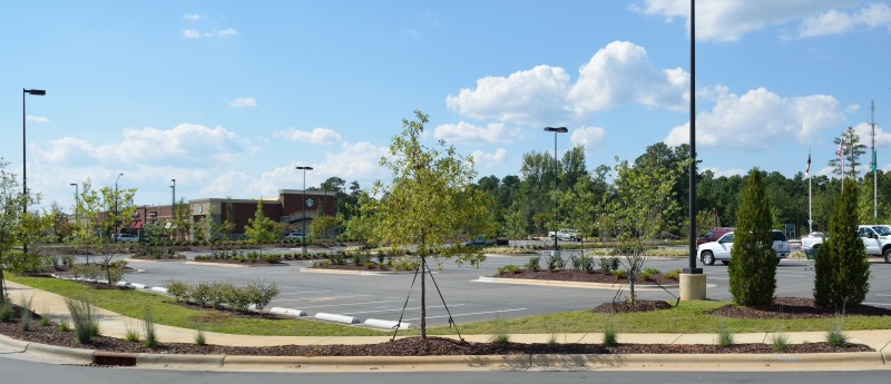 Commercial Landscaping Raleigh