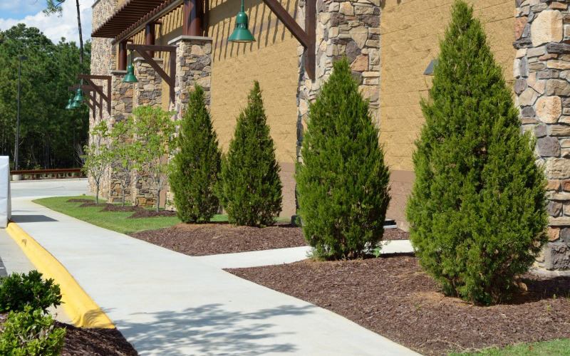 Commercial Landscaping Raleigh